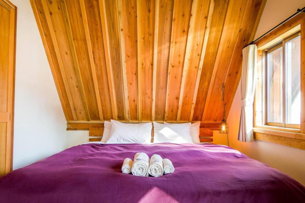 Misorano Chalet 하쿠바 외부 사진